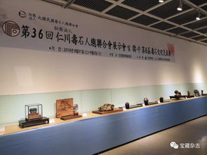 以石為媒，跨越山海 青島民間賞石藝術開啟跨國交流新篇章