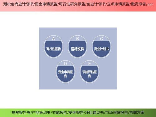 滄州市項目招投標書產(chǎn)業(yè)規(guī)劃ppt資金申請報告ppt投資亮點
